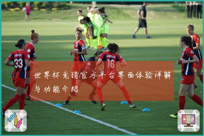 世界杯竞猜官方平台界面体验详解与功能介绍