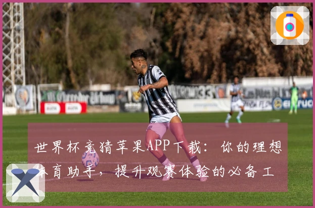 世界杯竞猜苹果APP下载：你的理想体育助手，提升观赛体验的必备工具