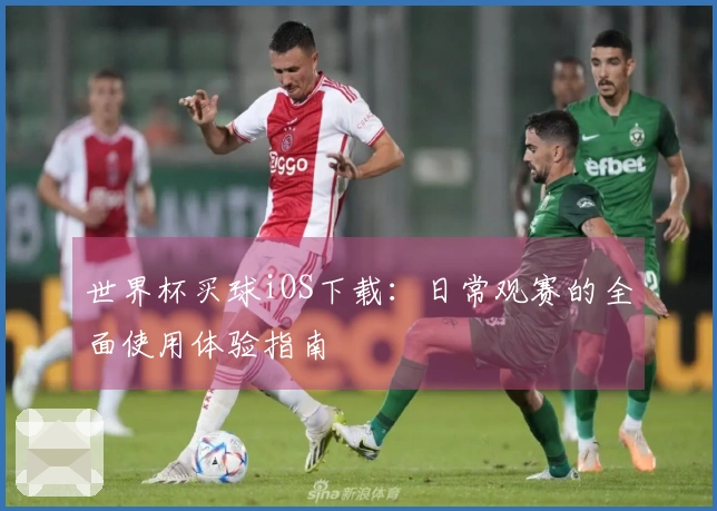 世界杯买球iOS下载:日常观赛的全面使用体验指南